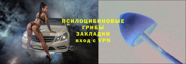 бошки Магас