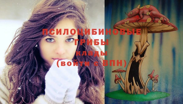 MDMA Лиски