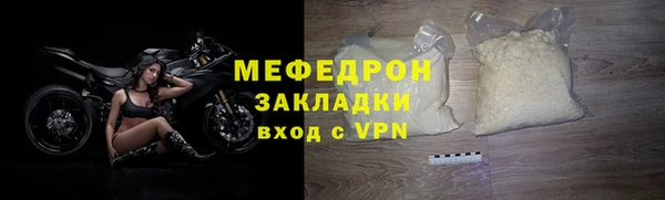 прущие грибы Сясьстрой