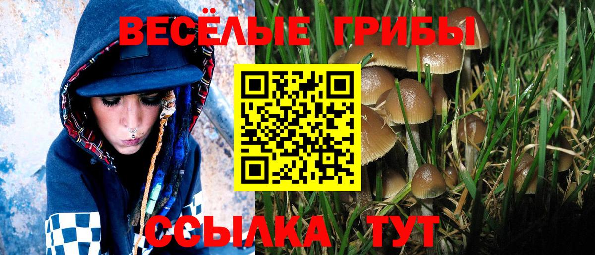 купить закладку  Усть-Илимск  Псилоцибиновые грибы мухоморы 