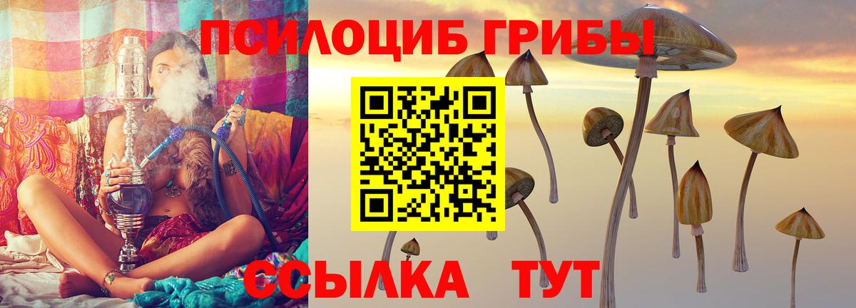 магазин продажи наркотиков  Псилоцибиновые грибы GOLDEN TEACHER  Вход с VPN  Усть-Илимск 